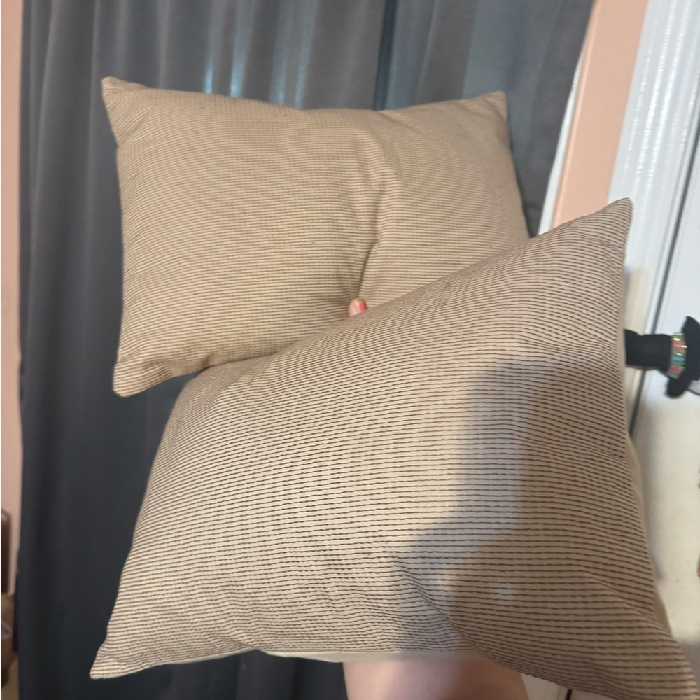 Calvin Klein Set of Two Tan Throw Pillows